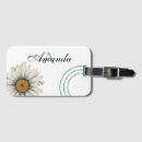 Search for vector flowers Daisy