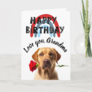 Search for dog grandma cards Humour