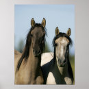 Search for mustang horses posters Animal