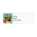 Search for bull terrier return address labels Staffy