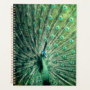 Search for pheasant office supplies Peafowl