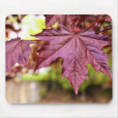 Search for red maple leaf mousepads Fall