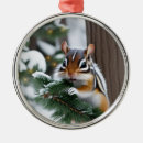 Search for chipmunk christmas tree decorations Cute