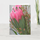 Search for hawaiian birthday cards Nature
