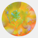 Search for begonia stickers Colourful
