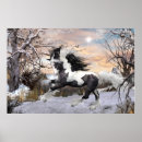 Search for gypsy horse posters Vanner