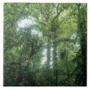 Search for lush tiles Landscape