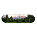 Search for ponds skateboards Nature