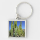 Search for pipe organs key rings Desert