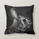 Search for cottontail cushions White