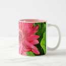 Search for gerbera daisy mugs Photography