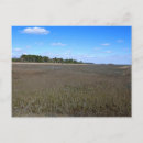 Search for nature preserve postcards Island
