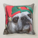 Search for funny pug cushions Pets