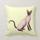 Search for siamese cat Siamese cats