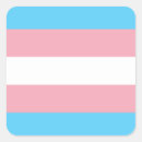 Search for transgender flag stickers Love is love