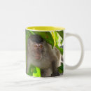 Search for macaque mugs Primate