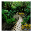 Search for fern art posters Flowers