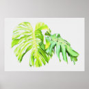 Search for monstera leaf posters Modern