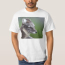 Search for arctic wolf clothing Wolves