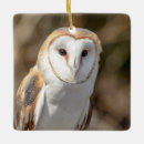 Search for barn owl christmas tree decorations Nature