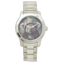 Search for koala watches Australian