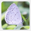 Search for azure stickers White