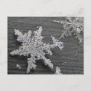 Search for snow flake postcards Blizzard