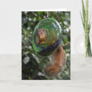 Search for feeder cards Cute