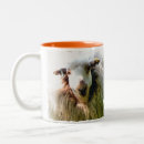 Search for two sheep mugs Ewes