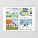 Search for four animals postcards Pets