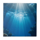 Search for coral reef tiles Marine life