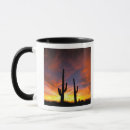Search for sonoran mugs Saguaro