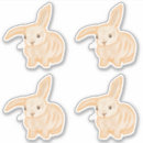 Search for white bunny rabbit stickers Drawing