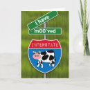 Search for pasture invitations Cow