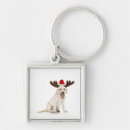 Search for lab puppy key rings Animal