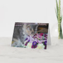 Search for flowers and cats cards Kitten
