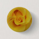Search for yellow rose badges Flower