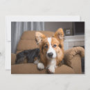 Search for corgi thank you cards Pet