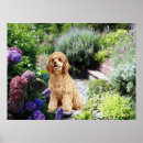 Search for poodle art Miniature