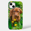 Search for pointer iphone cases Dog