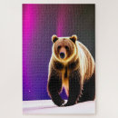 Search for aurora borealis puzzles Nature