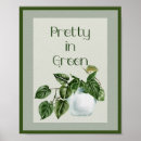 Search for pot plants posters Houseplant