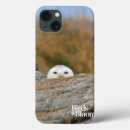 Search for snowy owl cases Bird