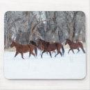 Search for quarter horses mousepads Snow