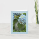Search for neighbours cards Flower