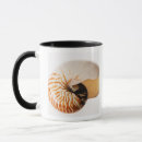 Search for nautilus mugs Sealife