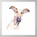 Search for greyhound memorial Sighthound