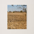Search for corn field puzzles Nature