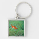 Search for okinawa key rings Nature