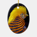 Search for pheasant christmas tree decorations Feathers